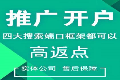 高效SEM托管服务：成功案例深度解析
